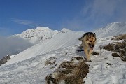 39 Dori rientra dall'ispezione...con vista in cresta Grem e verso l'Arera